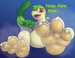 3_toes anthro bodily_fluids claws dbunno eyewear feet foot_fetish foot_focus generation_5_pokemon glasses hi_res looking_at_viewer male musk nintendo pokemon pokemon_(species) snivy soles solo sweat sweaty_feet talking_to_viewer toe_claws toes