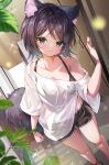  07touka25 1girl :3 animal_ear_fluff animal_ears black_bra black_hair bra bracelet earrings green_eyes highres jewelry looking_at_viewer open_door original shirt short_hair shorts solo t-shirt tail underwear 