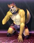 absurd_res anthro canid canine canis clothing collar cooper_krager eye_scar facial_scar fur hi_res legwear male mammal purtropos remember_the_flowers scar solo stockings tail underwear wolf yellow_body yellow_fur yellow_tail