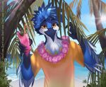 absurd_res andromorph anthro avian beach beverage bird blue fan_character hi_res holidays hybrid intersex invalid_tag jay lemonade male millchi palms sea solo summer sun sunny the water