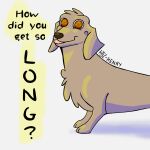 1:1 anthro canid canine canis dachshund domestic_dog floppy_ears htjz-jhon hunting_dog male mammal question question_mark shaded short_legs simple_background simple_shading solo text tongue tongue_out
