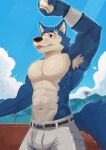  anthro ball baseball_(ball) baseball_(sport) baseball_field beastars canid canine canis hi_res legoshi_(beastars) male mammal muscular muscular_male sipcyshepherd solo sport 