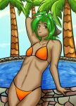 animal_ears animal_humanoid bikini breasts cat_humanoid clothing cloud felid felid_humanoid feline feline_humanoid female green_eyes green_hair hair humanoid karen_taverndatter looking_at_viewer mammal mammal_humanoid navel palm_tree plant pool pose skbld sky small_breasts smile smiling_at_viewer solo standing swimwear tan_body tree twokinds young_(lore)