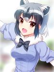  :d animal_ears black_legwear blue_background blue_shirt blurry bow bowtie breasts brown_eyes common_raccoon_(kemono_friends) depth_of_field elbow_gloves extra_ears eyebrows_visible_through_hair fang fur_collar gloves grey_hair kemono_friends looking_at_viewer medium_breasts multicolored_hair open_mouth outstretched_arms puffy_short_sleeves puffy_sleeves raccoon_ears shirt short_hair short_sleeves smile solo spread_arms totokichi upper_body 