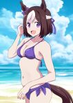  1girl animal_ears beach bikini blue_sky bow braid breasts brown_eyes brown_hair cleavage cloud day ear_bow french_braid hair_ribbon horizon horse_ears horse_girl horse_tail medium_breasts multicolored_hair ocean outdoors ponzu_rui purple_bikini purple_bow purple_eyes ribbon short_hair side-tie_bikini_bottom sky solo special_week_(umamusume) swimsuit tail two-tone_hair umamusume white_hair 