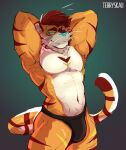  anthro clothed clothing felid feline hi_res looking_at_viewer male mammal muscular raised_arms scorgre simple_background solo striped_body stripes terryskaii_(artist) underwear underwear_only 