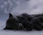  black_fur feline feral fur lying mammal panther pherigo sleeping 