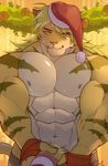  barely_visible_penis bodypaint christmas feline hachi_duchi hat holidays magan male mammal muscular muscular_male nipples pecs penis santa_hat tiger tokyo_afterschool_summoners 