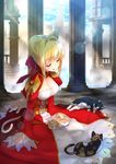  amami_amayu animal_ears blonde_hair braid breasts cat cat_ears cat_tail cleavage closed_eyes column commentary_request epaulettes fate/extra fate_(series) french_braid hair_intakes highres lens_flare light_rays medium_breasts nero_claudius_(fate) nero_claudius_(fate)_(all) pillar sleeping solo tail 