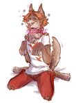  anthro brown_fur brown_hair canine chain clothed clothing collar dazed dog drooling fur gemskull hair half-closed_eyes kneeling mammal megami_tensei open_mouth pants paws persona saliva shirt simple_background smile solo tongue tuft yosuke_hanamura 