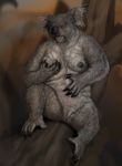  anthro breasts female koala mammal marsupial nude overweight pussy solo splice_(artist) 