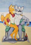 &lt;3 abs beach bulge canine clothed clothing eye_patch eyewear fox fox_mccloud hokshi kissing male male/male mammal muscular muscular_male nintendo scar seaside speedo star_fox swimsuit topless video_games wolf wolf_o&#039;donnell 