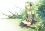  apple bad_id bad_pixiv_id book closed_eyes detached_sleeves food fruit grass green_hair hatsune_miku headphones long_hair masako necktie sasaki_ryou sitting skirt solo thighhighs twintails very_long_hair vocaloid wariza 