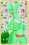  nintendo pokemon sceptile tagme 