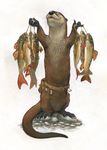  belt brown_fur claws cork eyes_closed feral fish fish_hook fur holding_object mammal marine merchant mustelid otter proud raised_hands rowkey simple_background solo standing traditional_media_(artwork) utility_belt water whiskers white_background 