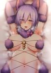  :d animal_ears armpits arms_up bed_sheet blush breasts breasts_apart dangerous_beast elbow_gloves eyebrows_visible_through_hair fate/grand_order fate_(series) fur-trimmed_gloves fur_collar fur_trim gloves hair_over_one_eye half-closed_eyes heavy_breathing highres kaenuco large_breasts looking_at_viewer mash_kyrielight naughty_face navel open_mouth pink_gloves pink_hair revealing_clothes short_hair smile stomach sweat tongue tongue_out upper_body wolf_ears 