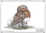  ambiguous_gender avian beak bird black_beak digital_media_(artwork) feral hybrid lagomorph mammal pechschwinge rabbit robin simple_background smile solo white_background 