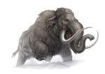  alpha_channel ambiguous_gender digital_media_(artwork) feral mammoth pechschwinge simple_background solo transparent_background tusks woolly_mammoth 