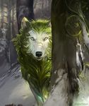  alectorfencer black_nose canine digital_media_(artwork) feral forest fur looking_at_viewer mammal pale_eyes solo tree white_fur 