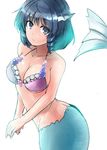  alternate_costume bare_arms bare_shoulders bikini bikini_top blue_eyes blue_hair breasts cleavage closed_mouth collarbone commentary_request head_fins highres looking_at_viewer medium_breasts mermaid monster_girl purple_bikini_top ringlets shell short_hair solo stomach swimsuit touhou wakasagihime y2 