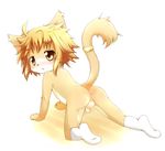  all_fours anthro anus backsack balls blush brown_eyes brown_fur cat clothing cub cute feline flaccid fur kasasagi legwear male mammal nude penis perineum raised_tail simple_background socks solo white_background young 