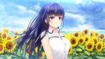  asami_asami blue_hair blush clouds flowers fujisaki_haruka game_cg hibiki_works long_hair natural_vacation purple_eyes sky summer sunflower 