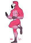  2016 anthro avian beak bgn bird dylan_(bgn) feathered_wings feathers flamingo full_portrait male muscular muscular_male nipples nude one_leg_up pink_feathers pinup pose simple_background solo standing white_background winged_arms wings 