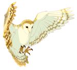  2015 ambiguous_gender avian barn_owl beak bird claws digital_media_(artwork) feathered_background feral owl simple_background solo uni white_background 