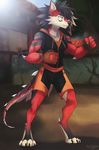  5_fingers anthro black_hair black_nose canine clothed clothing detailed_background digital_media_(artwork) dog dragon enaya-thewhitewolfen female fighting_stance fur hair hybrid mammal red_fur solo yellow_eyes 