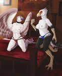  anthro avian beak bird breasts digital_media_(artwork) duo enaya-thewhitewolfen feathered_wings feathers female navel nipples osprey ozawk secretary_bird smile wings 