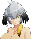  black_hair blonde_hair breasts bright_pupils closed_mouth cloudian collarbone commentary_request hair_between_eyes hair_over_shoulder highres kemono_friends large_breasts light_smile looking_at_viewer low_ponytail multicolored_hair nude partial_commentary shoebill_(kemono_friends) short_hair_with_long_locks side_ponytail silver_hair simple_background solo upper_body white_background white_pupils yellow_eyes 