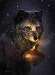  ailah ambiguous_gender canine feral fire fox fur grey_background grey_fur holding_object lantern looking_at_viewer mammal simple_background snow snowing solo wolf yellow_eyes 