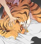  bed crying deity drooling eyes_closed feline forced from_behind_position fur head_grab human jewelry lin_hu male male/male mammal muscular necklace nekojishi nipples panting rape saliva sex stripes sweat tears tiger 麻尾 