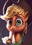  applejack_(mlp) assasinmonkey earth_pony equine female feral freckles friendship_is_magic hair hat horse looking_at_viewer mammal my_little_pony pony reaction_image solo 