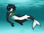  aludrakijurorin bandeau bear black_ears black_hair blue_eyes breasts cetacean female hair looking_at_viewer mammal marine merfolk orca panda seashell underwater water whale 