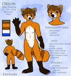  anthro fantaari looking_at_viewer male mammal model_sheet orion_(character) red_panda simple_background smile solo standing text 