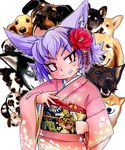  absurdres animal_ears camellia chinese_zodiac commentary_request dalmatian dog dog_child_(doitsuken) dog_ears dog_request doitsuken eyebrows_visible_through_hair fang floral_print flower grin hair_flower hair_ornament head_tilt highres japanese_clothes kanzashi kimono long_sleeves looking_at_viewer new_year obi original pink_kimono pug purple_hair red_eyes sash shiba_inu short_hair slit_pupils smile solo v-shaped_eyebrows welsh_corgi wide_sleeves year_of_the_dog 