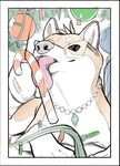 blue_eyes candy candy_cane canine caramel_(insomniacovrlrd) christmas dog eyewear feral food fur glasses holidays insomniacovrlrd jewelry licking mammal seductive shiba_inu solo tan_fur tongue tongue_out 