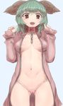  animal_ears areola_slip areolae ass_visible_through_thighs bangs blue_background bottomless breasts chain collarbone cowboy_shot dress eyebrows_visible_through_hair fangs green_eyes green_hair hands_up heart highres kaizu_(kaizukurodai) kasodani_kyouko long_sleeves looking_at_viewer navel no_bra open_clothes open_dress open_mouth pink_dress small_breasts smile solo thigh_gap touhou 