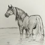  drawing equine feral horse looking_at_viewer mammal r34c simple_background traditional_media_(artwork) 