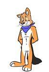  anthro black_tail canine eye_scar featureless_crotch fur hi_res looking_down male mammal orange_eyes orange_fur ruskeydoodles scar scarf simple_background smile solo standing whiskers white_background white_fur 