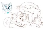  action_pose angry blue_eyes ear_tuft feline female fluffy fluffy_tail happy inner_ear_fluff jewelry male mammal multiple_poses notched_ear nude orange_eyes pose restricted_palette servalsketch sketch sketch_page stretching tetton tuft 