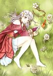  animal bird derivative_work elbow_gloves fire_emblem fire_emblem:_akatsuki_no_megami gloves grass long_hair looking_at_viewer lying micaiah nuts0415 on_side outdoors purple_eyes silver_hair solo 