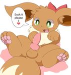  balls blush bow chibi cute eevee erection fangs feral girly km-15 knot lying male nintendo open_mouth penis pok&eacute;mon pok&eacute;mon_(species) presenting simple_background solo spread_legs spreading text tongue video_games 