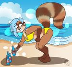  anthro bikini black_nose blue_hair bouncyotter breasts brown_fur cleavage clothed clothing female fur hair looking_back mammal pregnant procyonid raccoon shawnthegirl solo swimsuit transformation 
