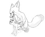  4_fingers all_fours anal anal_penetration anthro anthro_on_anthro bite black_and_white canine claws cum cum_on_ground cum_while_penetrated disney doggystyle ear_biting fluffy fluffy_tail fox from_behind_position hindpaw jack_savage lagomorph looking_at_partner male male/male male_penetrating mammal monochrome nick_wilde nude paws penetration penis predator/prey rabbit sex simple_background sketch snout torso_grab w4g4 white_background zootopia 