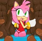  abs amy_rose anthro balls blush butt clothing dark_skin excito faceless_male gangbang group group_sex handjob human human_on_anthro humanoid_penis interspecies male male_on_anthro mammal nude one-piece_swimsuit penis pool_(disambiguation) sex size_difference sonic_(series) swimsuit 