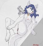  4_toes 5_fingers anthro black-husky black_nose blue_hair breasts canine carmelita_fox digitigrade female fox gun hair holding_object holding_weapon mammal nipples pussy ranged_weapon sly_cooper_(series) smile solo toes video_games weapon 