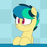  2018 animated apogee_(shinodage) blue_background bust_portrait cute equine eyebrows eyelashes facial_expressions fan_character feathered_wings feathers female freckles frown hair happy inside mammal multicolored_hair my_little_pony pattern_background pegasus pink_eyes portrait sad shinodage short_hair simple_background smile solo spread_wings surprise teeth unamused wide_eyed wings 