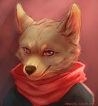  2018 anthro brown_fur canine clothing coyote digital_media_(artwork) fur grey_eyes looking_at_viewer male mammal mtd_(dudeman147) noquelle scarf solo 